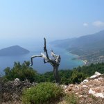 balazsh 2011